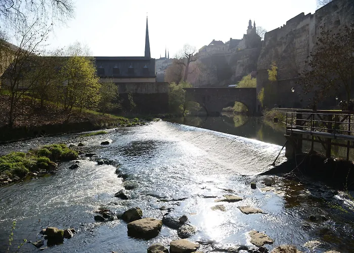 Hotel Christophe Colomb
